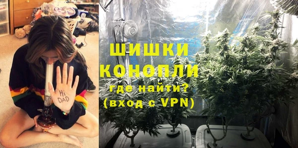 ешки Алзамай