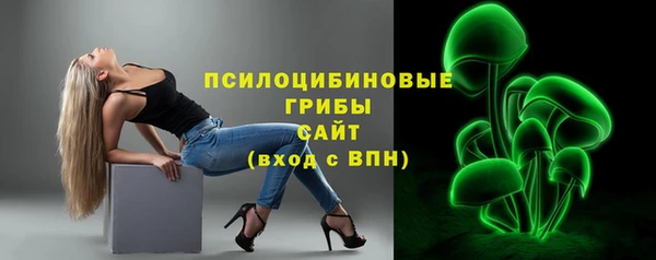 ПСИЛОЦИБИНОВЫЕ ГРИБЫ Абаза