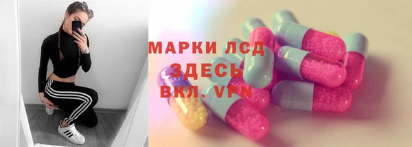 ПСИЛОЦИБИНОВЫЕ ГРИБЫ Абаза