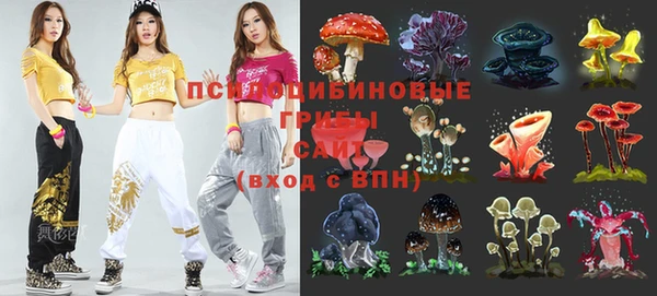 ПСИЛОЦИБИНОВЫЕ ГРИБЫ Абаза