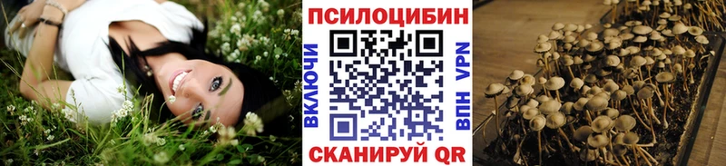 где найти наркотики  Соликамск  Галлюциногенные грибы Psilocybine cubensis 